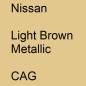 Preview: Nissan, Light Brown Metallic, CAG.